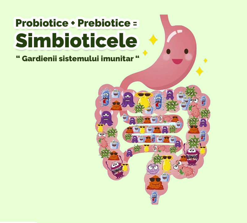 Probiotice + Prebiotice = Simbioticele – Intareste sanatatea sistemului imunitar