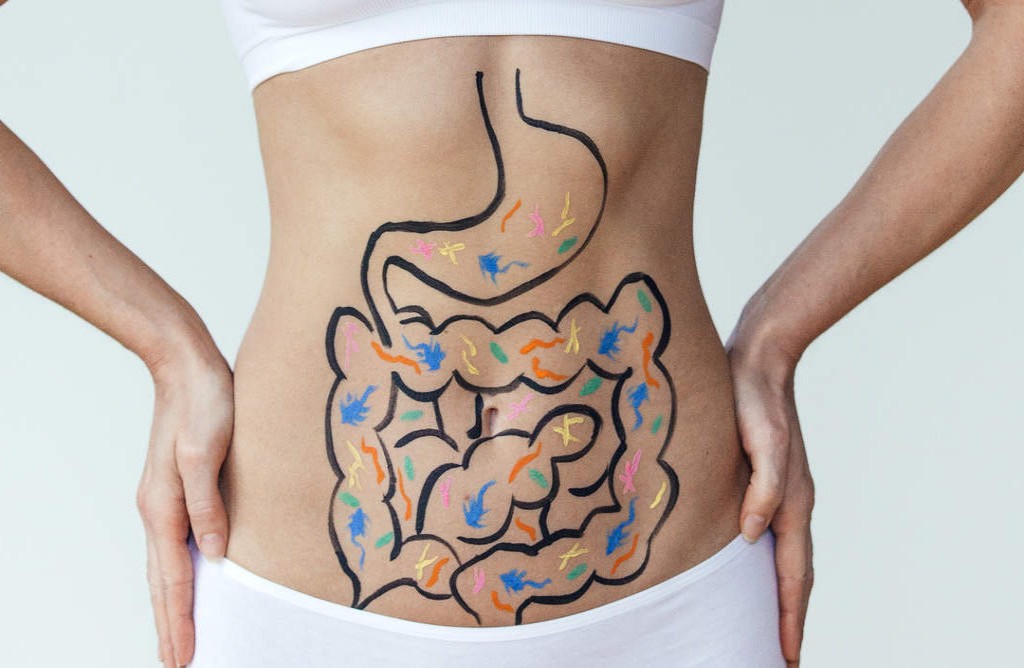 Totul despre TRANZITUL INTESTINAL: Durată, tipuri de tulburări digestive, cauze, tratament