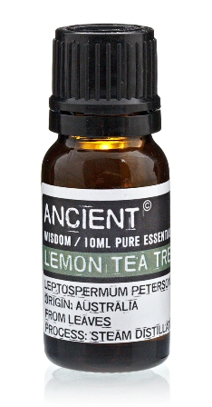 Ulei esential Lemon Tea Tree (Leptospermum Petersonii), 10ml - Ancient Wisdom