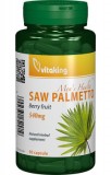 DELISTAT Extract de Palmier Pitic (Saw Palmetto) 540mg , 90 cps - Vitaking