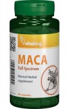 Maca 500mg, 90 capsule vegetale - Vitaking