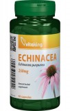 Extract de Echinacea 250mg, 90 cps - Vitaking