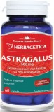 Astragalus, 60 capsule - HERBAGETICA