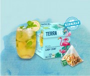 Ceai BIO aromat Lady Chai, 18 plicuri - Terra Tee