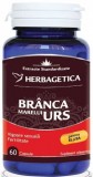 Branca Marelui Urs, 60 capsule - HERBAGETICA