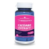 CICOARE Extract, 30 capsule - HERBAGETICA