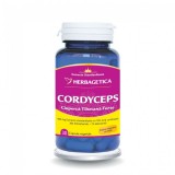 Cordyceps, Ciuperca Tibetana Forte, 30 capsule - HERBAGETICA