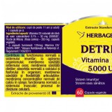 DETRIX FORTE Vitamina D3 5000 UI, 60 capsule - HERBAGETICA