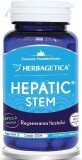 Hepatic STEM, 60 capsule - HERBAGETICA