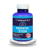 Hepatic STEM, 120 capsule - HERBAGETICA