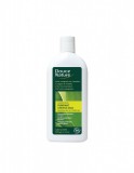 Sampon purificator pentru par gras cu brusture si chiparos, 300 ml - Douce Nature