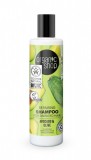 Sampon reparator par deteriorat cu avocado si masline, Avocado Olive, 280 ml - Organic Shop