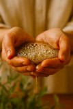 Sapun Lichid de Marsilia cu Ulei de Masline si Cocos Bio, 500ml - NAJEL