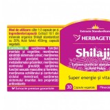 Shilajit Mumio, supliment natural, 30 capsule - HERBAGETICA