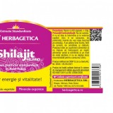 Shilajit Mumio, supliment natural, 60 capsule - HERBAGETICA