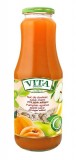 Suc natural de dovleac-caise-mere, fara zahar, 1L - Vita Premium