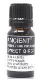 Ulei esential Mesteacan dulce (Betula Lenta), 10ml - Ancient Wisdom