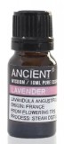 Ulei esential de Lavanda (Lavandula Angustifolia), 10ml - Ancient Wisdom