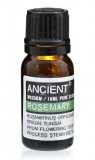 Ulei esential de Rozmarin (Rosmarinus Officinalis), 10ml - Ancient Wisdom