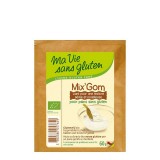 Mix Gom, aditiv afanare pentru paine fara gluten, 60g - Ma vie sans gluten