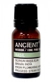 Ulei esential de Busuioc (Ocimum Basilicum), 10ml - Ancient Wisdom