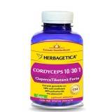 Cordyceps, Ciuperca Tibetana Forte, 120 capsule - HERBAGETICA