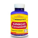 GINKGO Curcumin 95, 60 capsule - HERBAGETICA