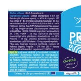 Prostato STEM, 30 capsule - HERBAGETICA